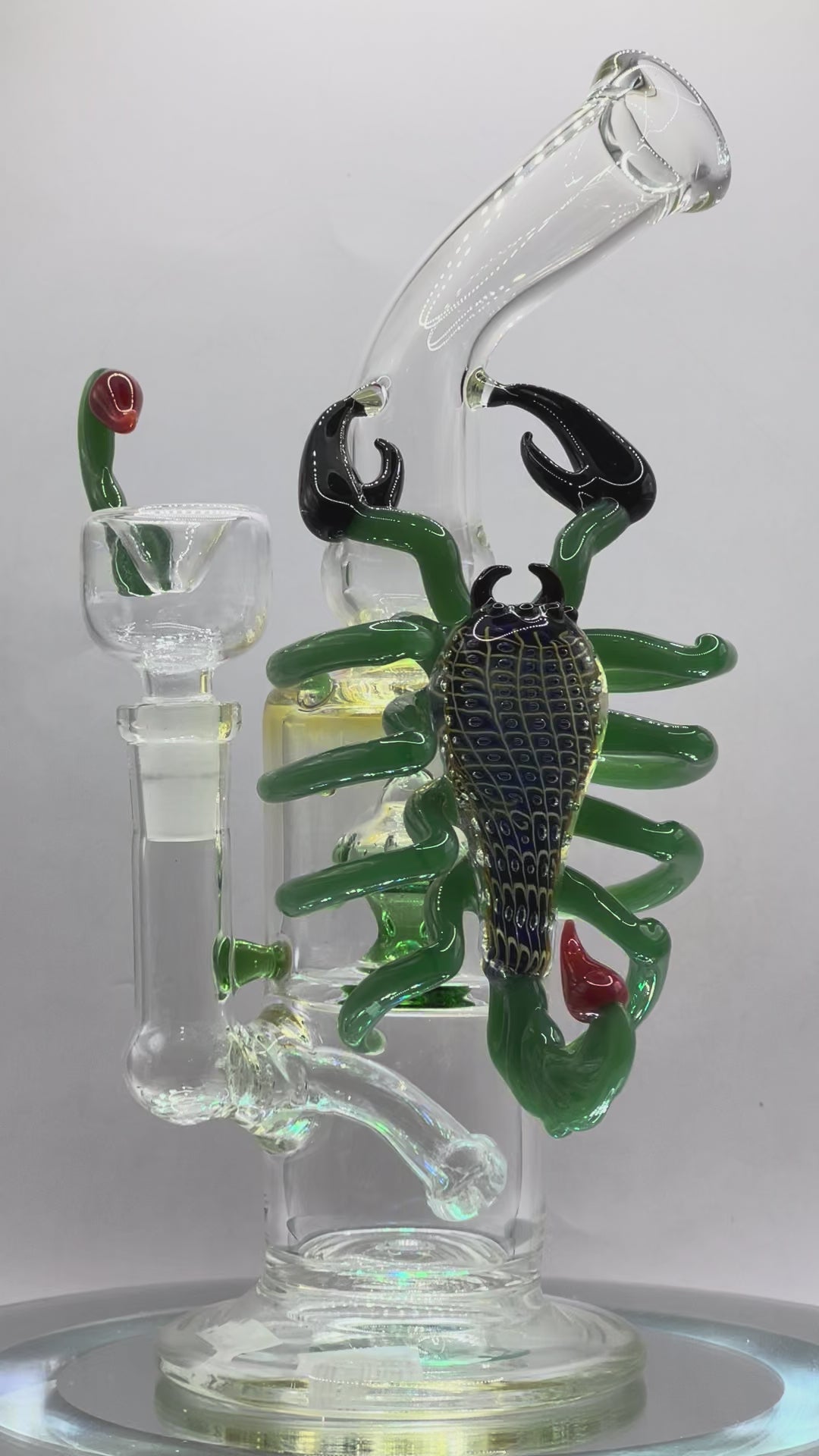 360 view of the otg glass scorpion water pipe